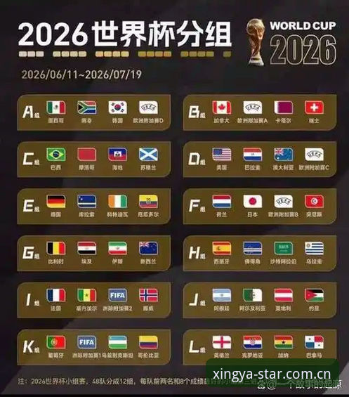 世界杯观赛困境深度解析——从亚星娱乐平台视角看国际赛事背后的签证博弈